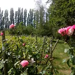 Wijndomein De Vier Ambachten -overnachten In De Wijngaard *