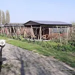 Wijndomein De Vier Ambachten -overnachten In De Wijngaard Kemping