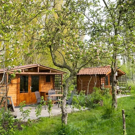 Wijndomein De Vier Ambachten -overnachten In De Wijngaard Campsite *