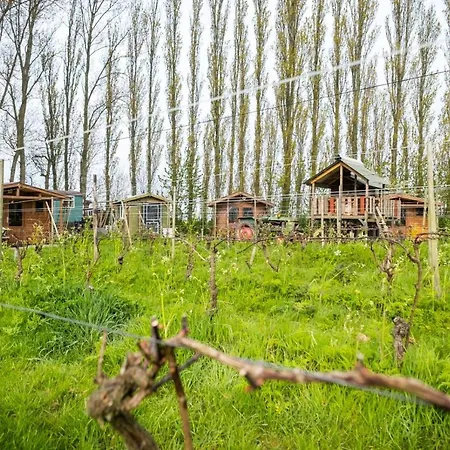 Campsite Wijndomein De Vier Ambachten -overnachten In De Wijngaard Simonshaven