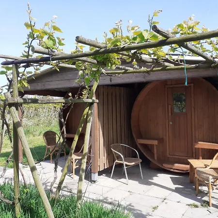 Wijndomein De Vier Ambachten -overnachten In De Wijngaard * Simonshaven