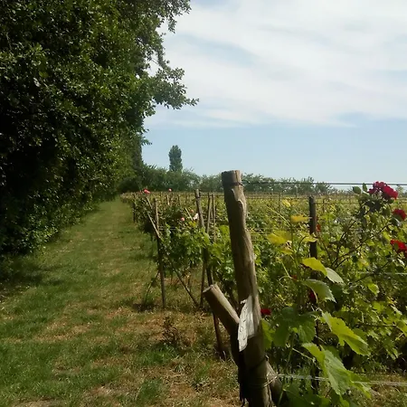 Wijndomein De Vier Ambachten -overnachten In De Wijngaard * Simonshaven