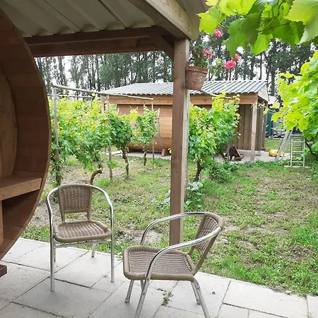 Wijndomein De Vier Ambachten -overnachten In De Wijngaard Simonshaven