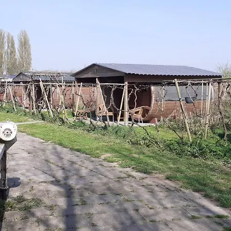 Wijndomein De Vier Ambachten -overnachten In De Wijngaard Kamp alanı