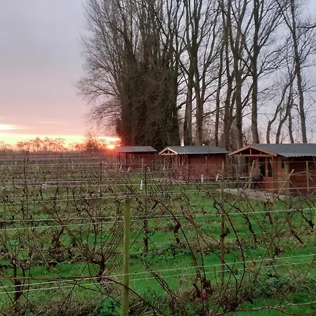 Campeggio Wijndomein De Vier Ambachten -overnachten In De Wijngaard *