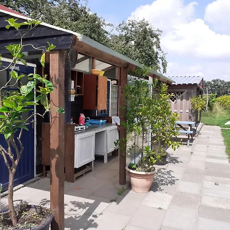 אתר קמפינג Wijndomein De Vier Ambachten -overnachten In De Wijngaard