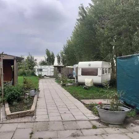 Parque de Campismo Wijndomein De Vier Ambachten -overnachten In De Wijngaard