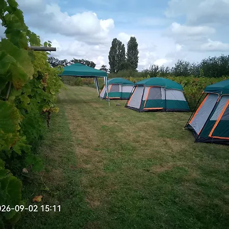 Camping Wijndomein De Vier Ambachten -overnachten In De Wijngaard Simonshaven