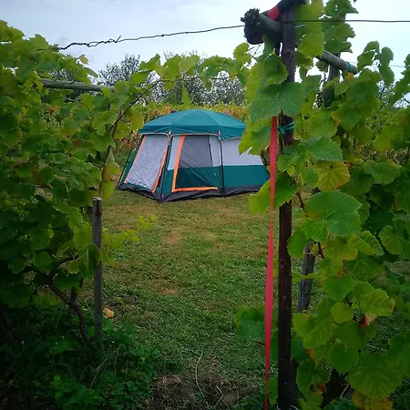 Wijndomein De Vier Ambachten -overnachten In De Wijngaard Campingplatz *