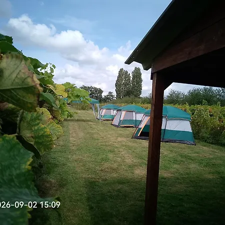 Campingplatz Wijndomein De Vier Ambachten -overnachten In De Wijngaard
