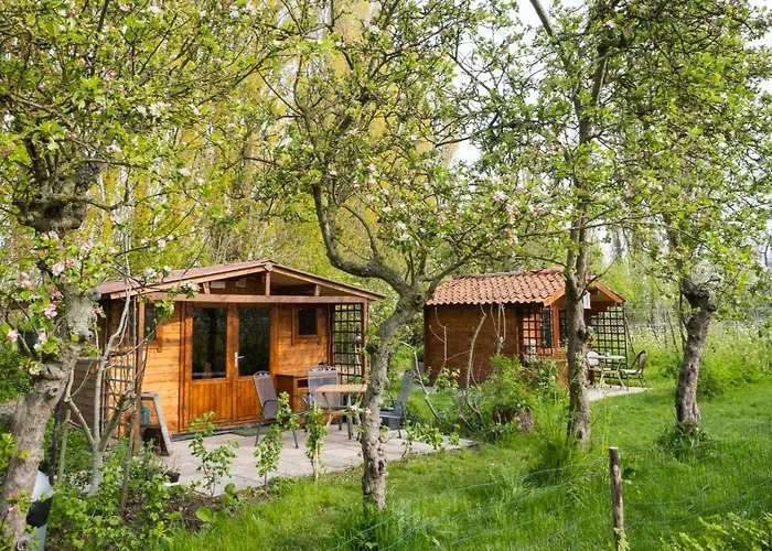 Wijndomein De Vier Ambachten -overnachten In De Wijngaard Campsite *