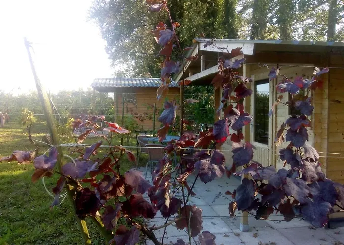 Wijndomein De Vier Ambachten -overnachten In De Wijngaard Simonshaven