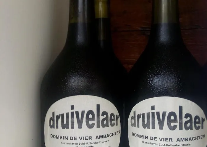 Parque de Campismo Wijndomein De Vier Ambachten -overnachten In De Wijngaard