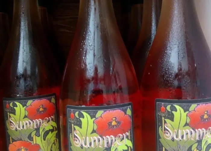 Wijndomein De Vier Ambachten -overnachten In De Wijngaard *