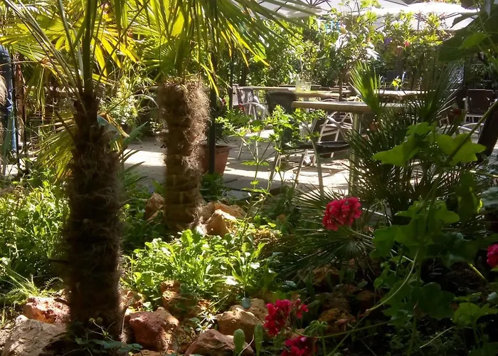 Wijndomein De Vier Ambachten -overnachten In De Wijngaard * Simonshaven