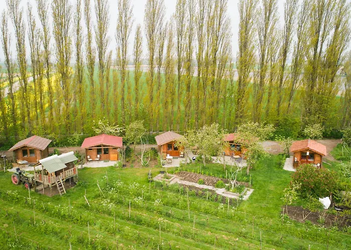 Campsite Wijndomein De Vier Ambachten -overnachten In De Wijngaard