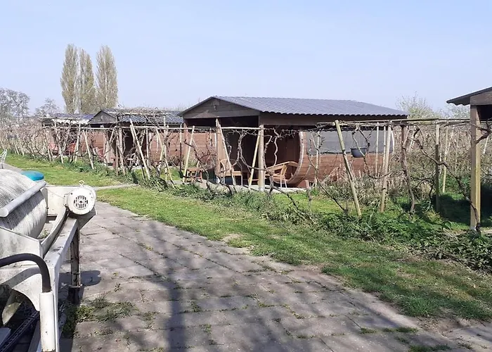 Wijndomein De Vier Ambachten -overnachten In De Wijngaard Parque de Campismo