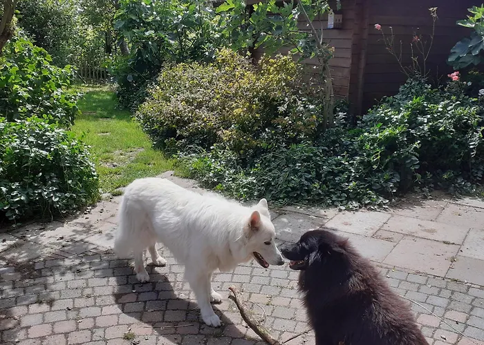 Wijndomein De Vier Ambachten -overnachten In De Wijngaard Parque de Campismo *