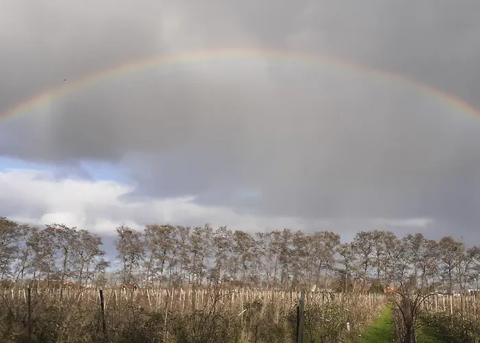 Wijndomein De Vier Ambachten -overnachten In De Wijngaard Parque de Campismo