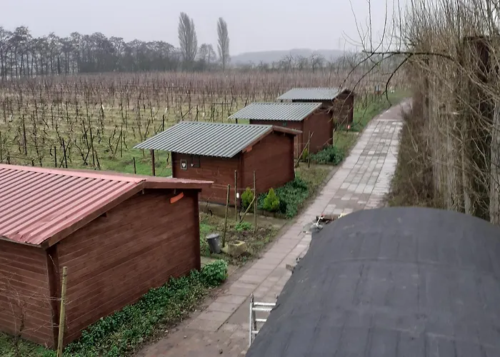 Wijndomein De Vier Ambachten -overnachten In De Wijngaard Simonshaven
