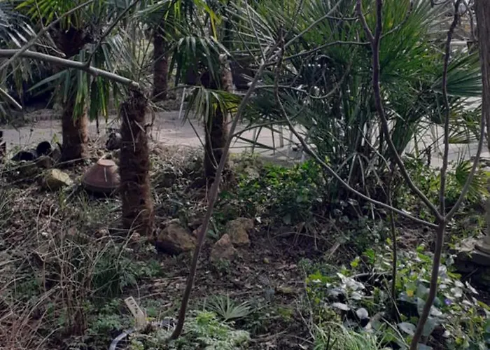 Wijndomein De Vier Ambachten -overnachten In De Wijngaard Parque de Campismo Simonshaven