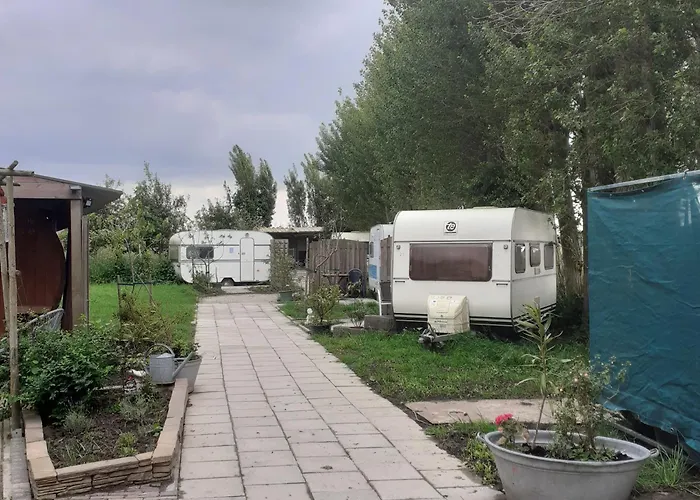 Parque de Campismo Wijndomein De Vier Ambachten -overnachten In De Wijngaard