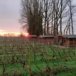 Camping Wijndomein De Vier Ambachten -overnachten In De Wijngaard *