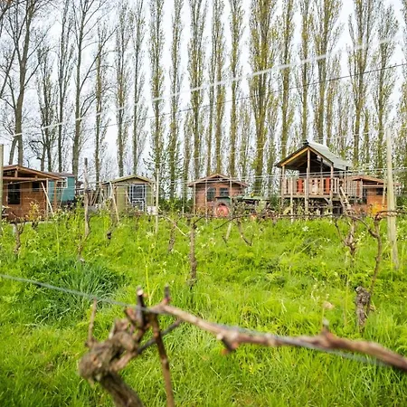キャンプ場 Wijndomein De Vier Ambachten -overnachten In De Wijngaard Simonshaven