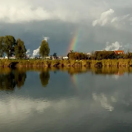 キャンプ場 Wijndomein De Vier Ambachten -overnachten In De Wijngaard *