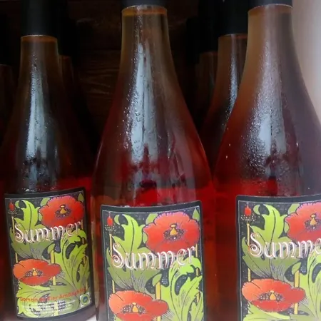 Wijndomein De Vier Ambachten -overnachten In De Wijngaard *