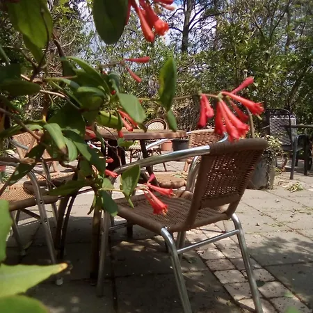 Wijndomein De Vier Ambachten -overnachten In De Wijngaard