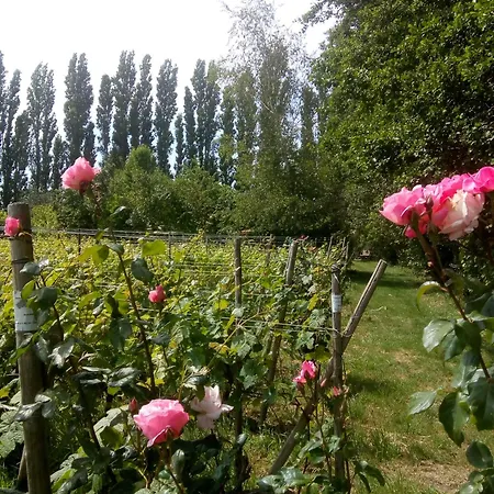 Wijndomein De Vier Ambachten -overnachten In De Wijngaard *