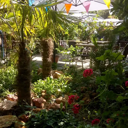 Wijndomein De Vier Ambachten -overnachten In De Wijngaard * Simonshaven