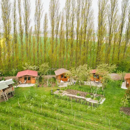 キャンプ場 Wijndomein De Vier Ambachten -overnachten In De Wijngaard