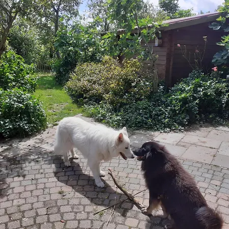 Wijndomein De Vier Ambachten -overnachten In De Wijngaard キャンプ場 *