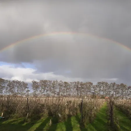 Wijndomein De Vier Ambachten -overnachten In De Wijngaard キャンプ場