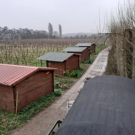 Wijndomein De Vier Ambachten -overnachten In De Wijngaard Simonshaven