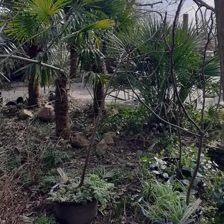 Wijndomein De Vier Ambachten -overnachten In De Wijngaard キャンプ場 Simonshaven