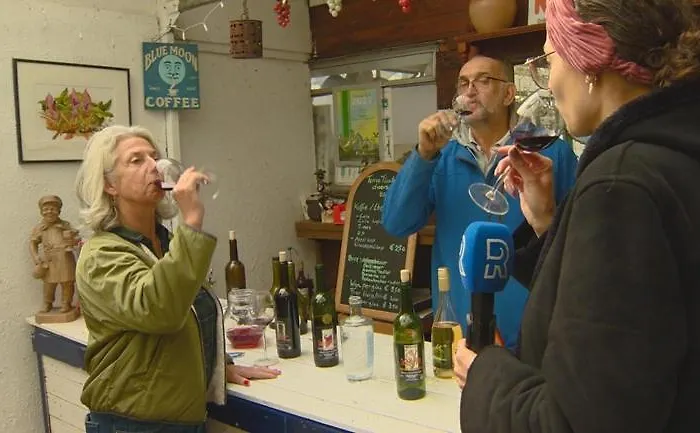 Wijndomein De Vier Ambachten -overnachten In De Wijngaard * Simonshaven