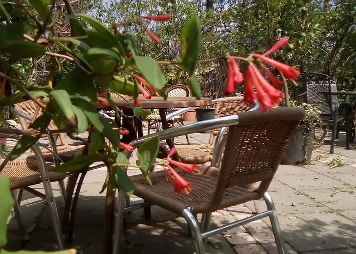 Wijndomein De Vier Ambachten -overnachten In De Wijngaard