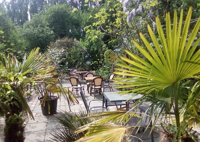 Kemping Wijndomein De Vier Ambachten -overnachten In De Wijngaard