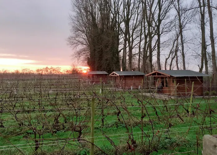 Campingplatz Wijndomein De Vier Ambachten -overnachten In De Wijngaard *
